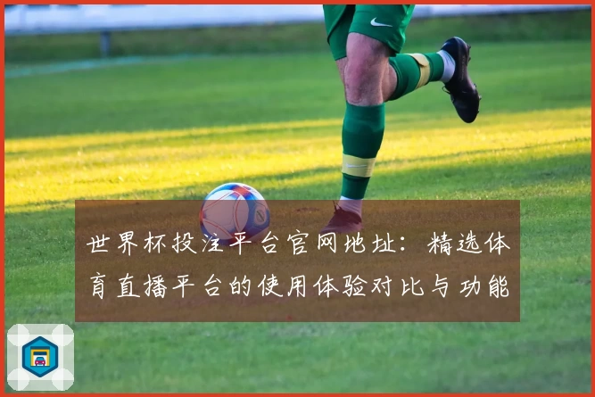 世界杯投注平台官网地址：精选体育直播平台的使用体验对比与功能分析