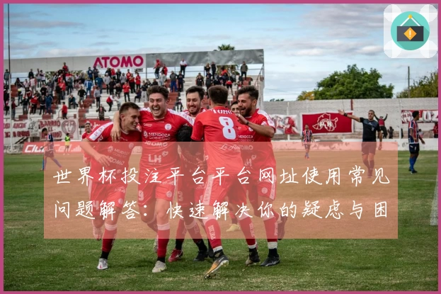 世界杯投注平台平台网址使用常见问题解答：快速解决你的疑虑与困惑