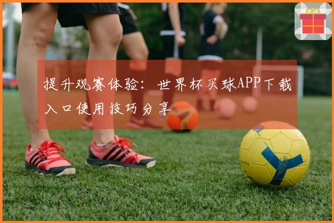 提升观赛体验:世界杯买球APP下载入口使用技巧分享